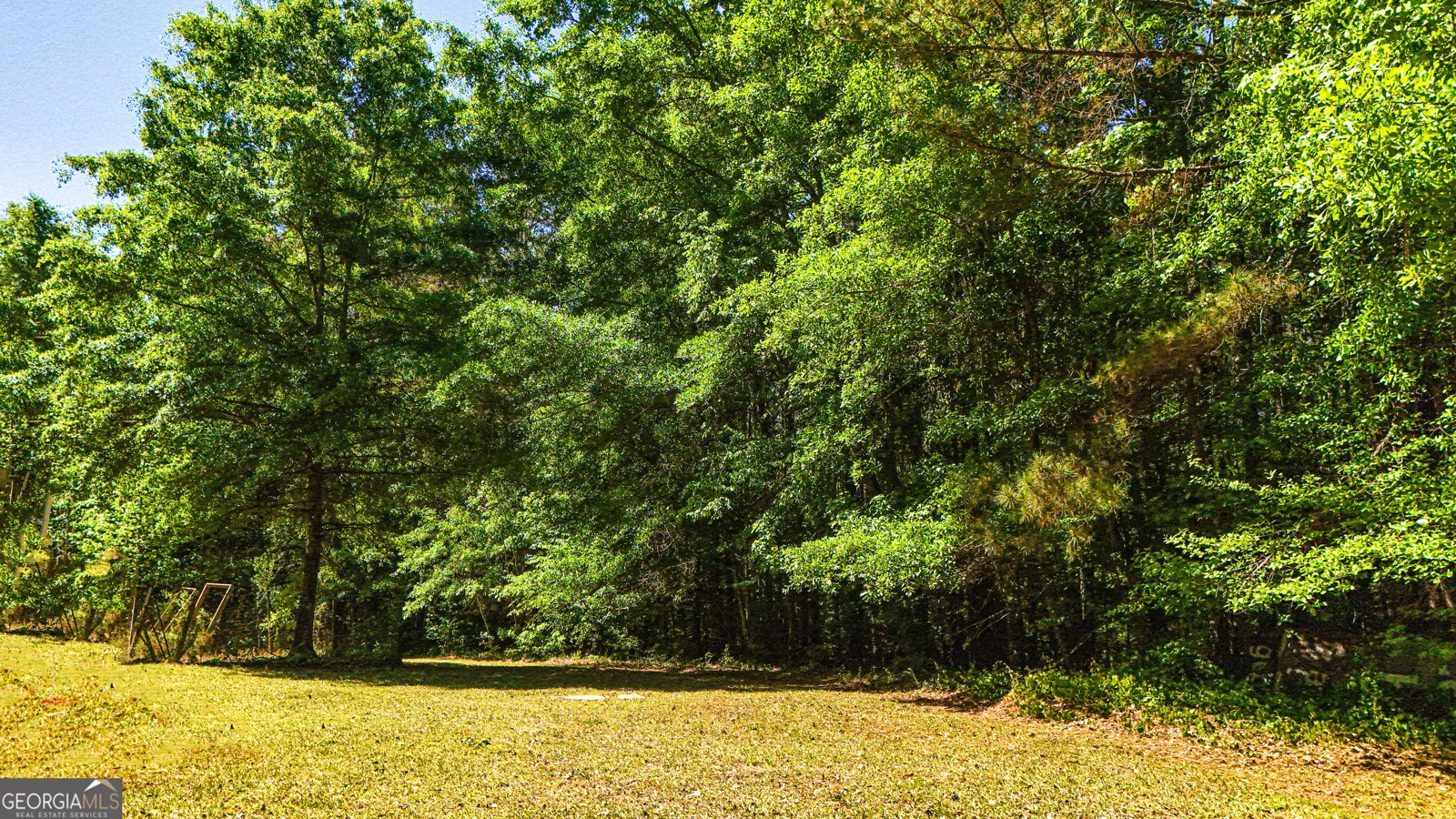 485 Natures Trail Forsyth - Photo 98