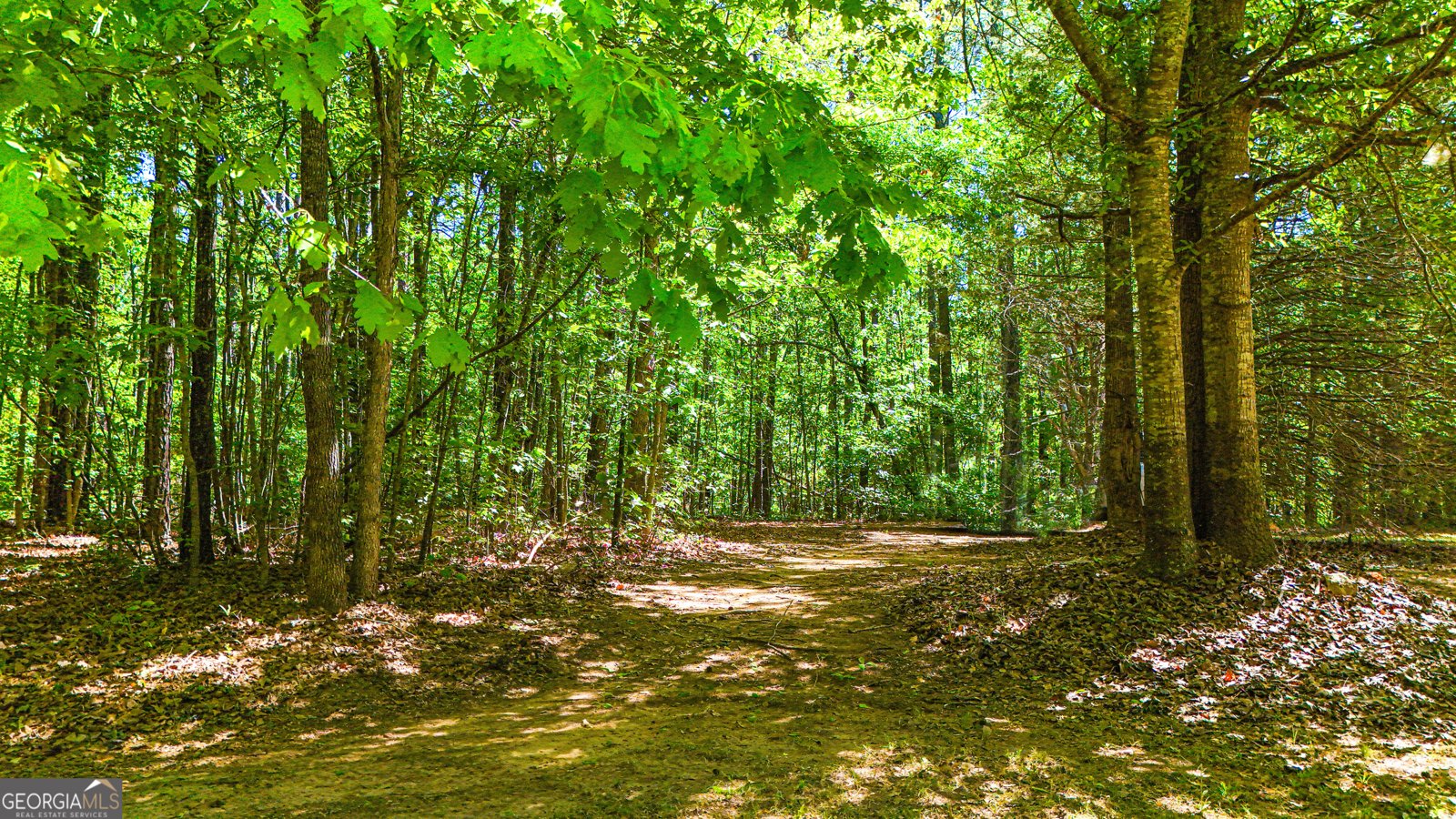 485 Natures Trail Forsyth - Photo 99