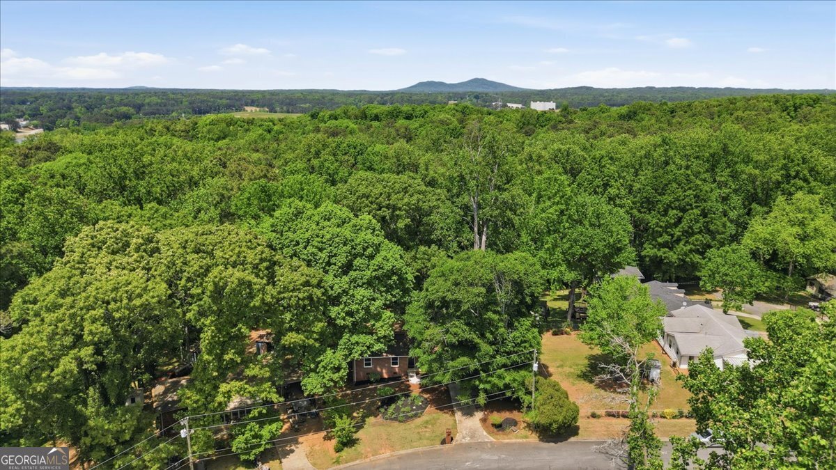 2522 Frost Drive Marietta - Photo 40