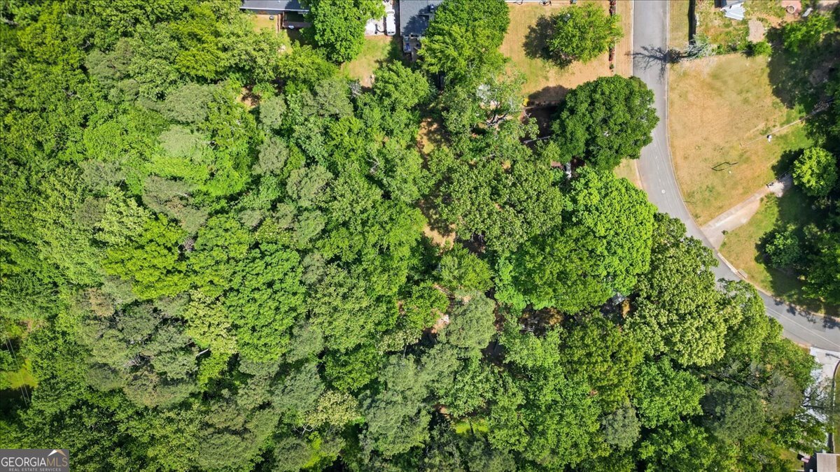 2522 Frost Drive Marietta - Photo 46