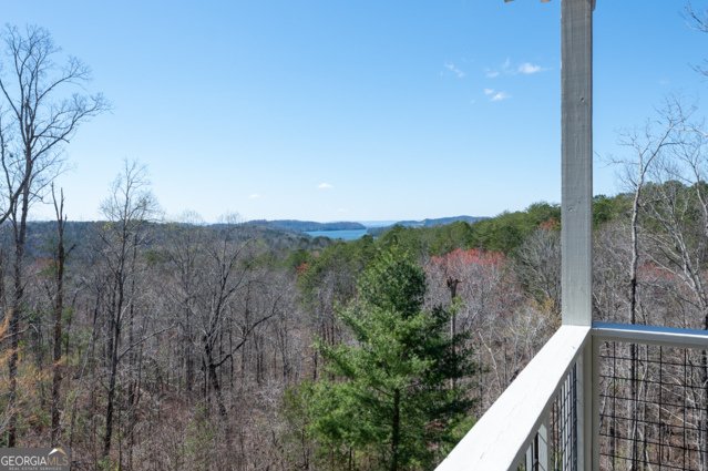 56 Carters View Lane Ellijay - Photo 63