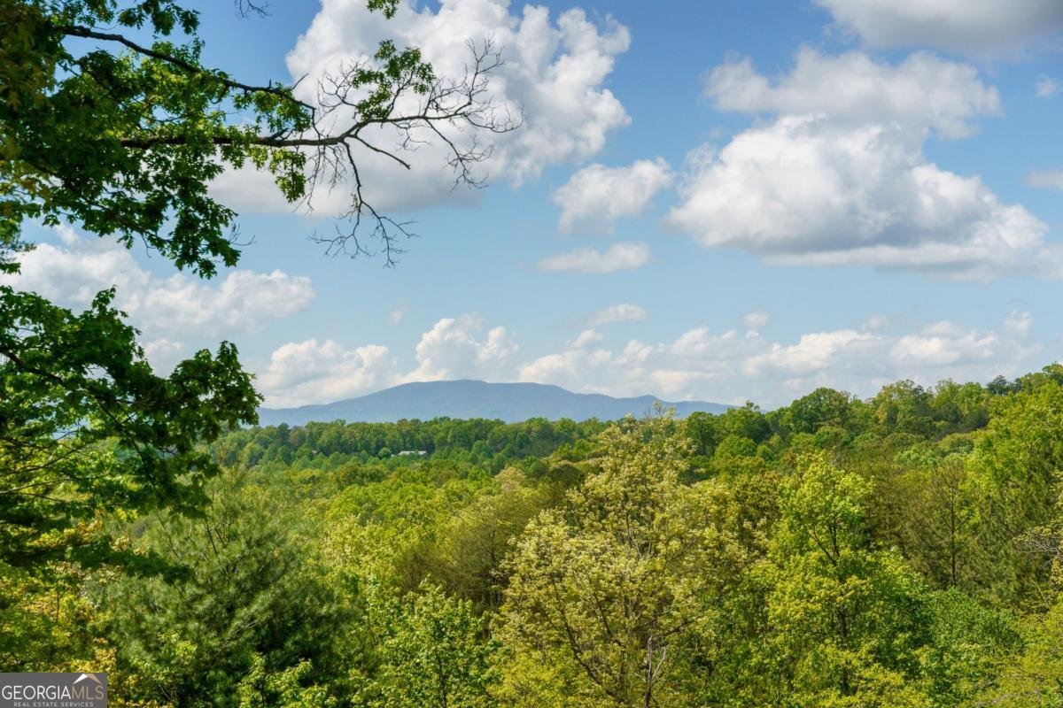 955 Mull Drive Mineral Bluff - Photo 46