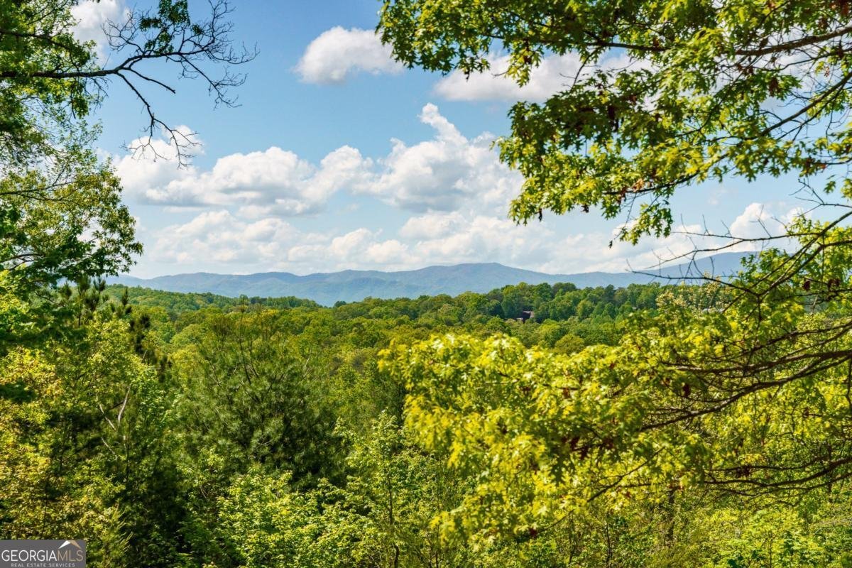 955 Mull Drive Mineral Bluff - Photo 47