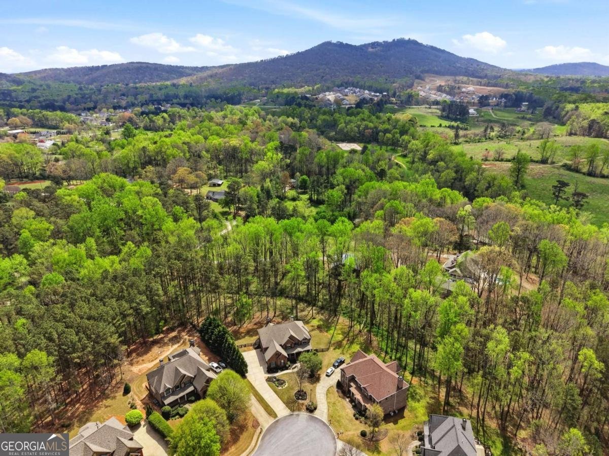 3155 Aldridge Court Cumming - Photo 74