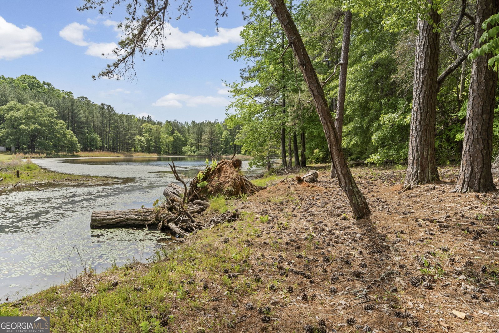 110 Handy Road Newnan - Photo 37