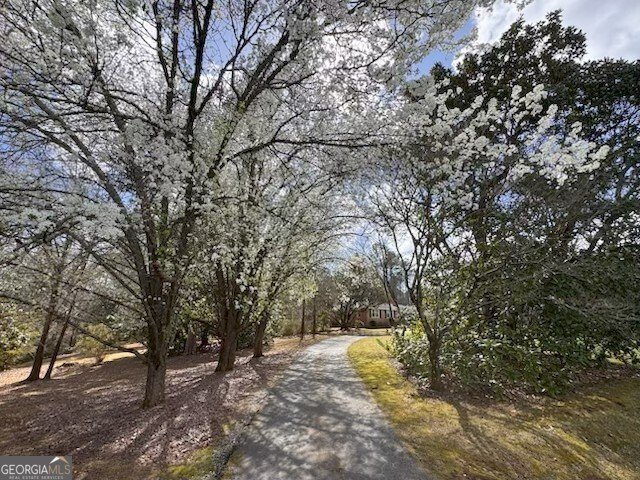 110 Handy Road Newnan - Photo 46