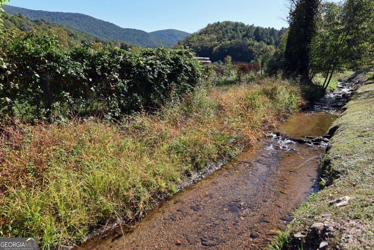 98 Heavenly Drive Blairsville - Photo 33