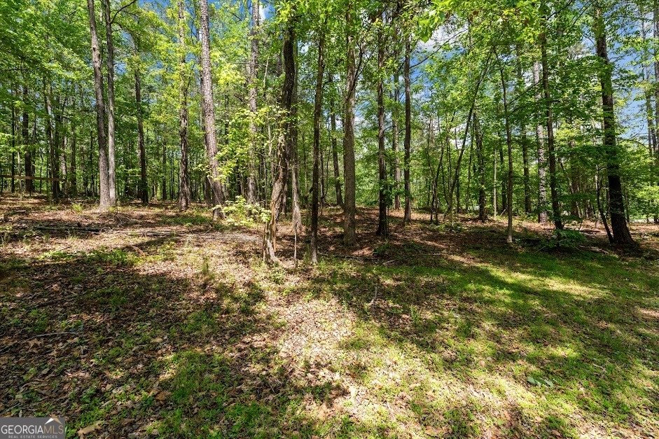 7908 Lambert Road Winston - Photo 46