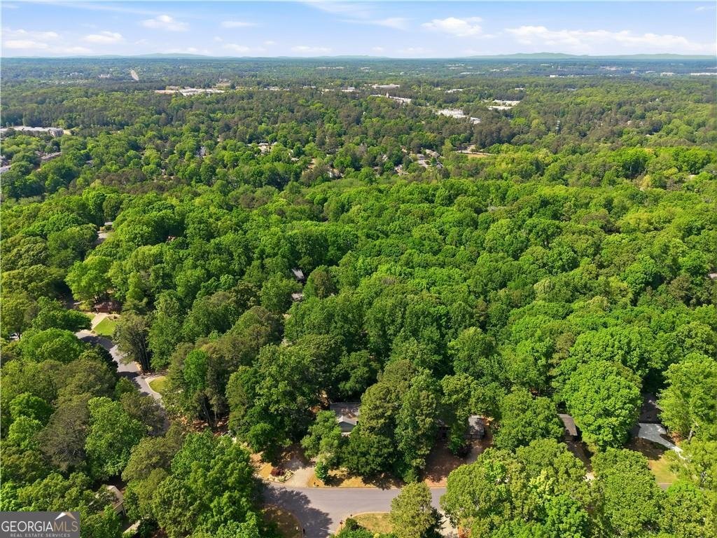 2160 Six Branches Drive Roswell - Photo 47