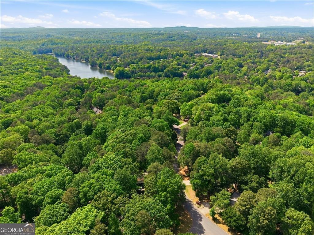 2160 Six Branches Drive Roswell - Photo 48