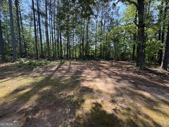 4166 New Towne Drive Powder Springs - Photo 13