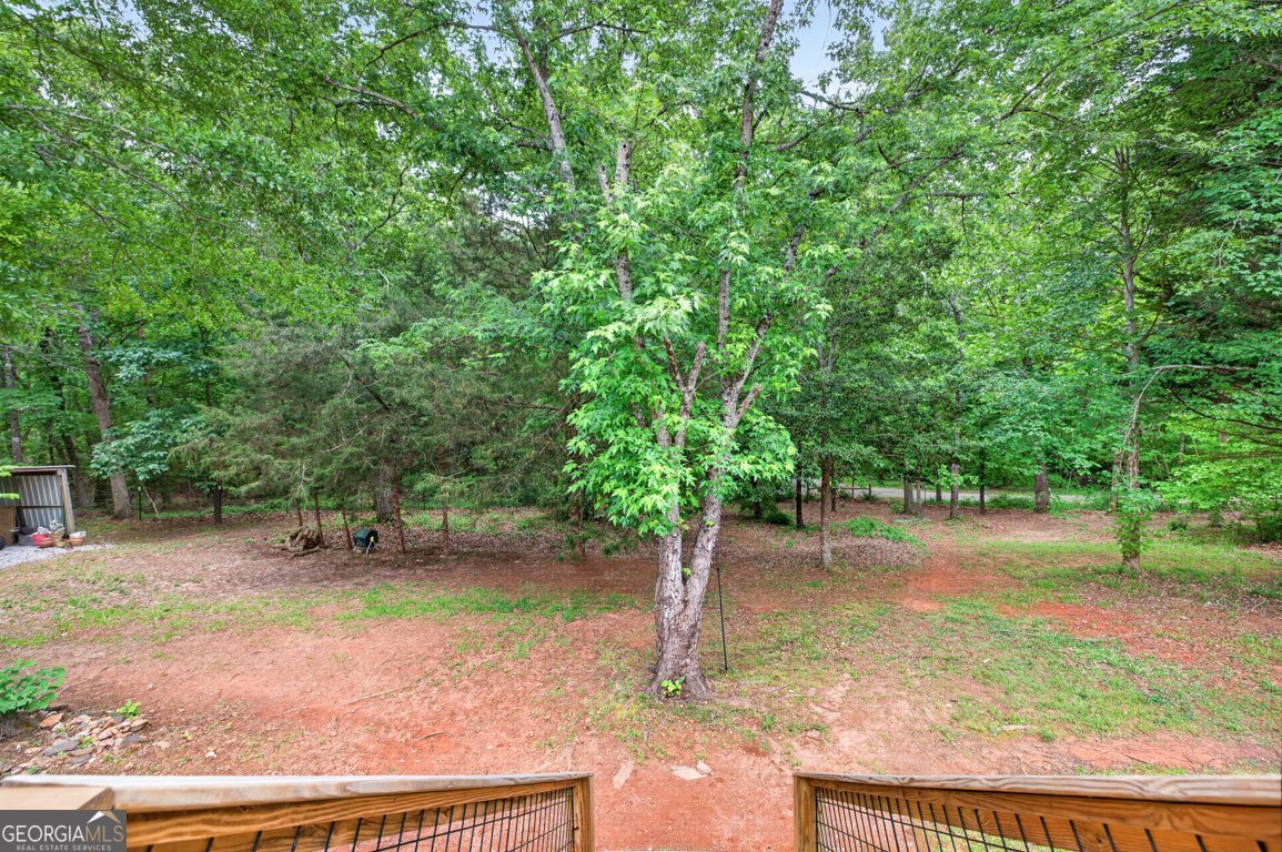 1207 Lakeland Drive Toccoa - Photo 44