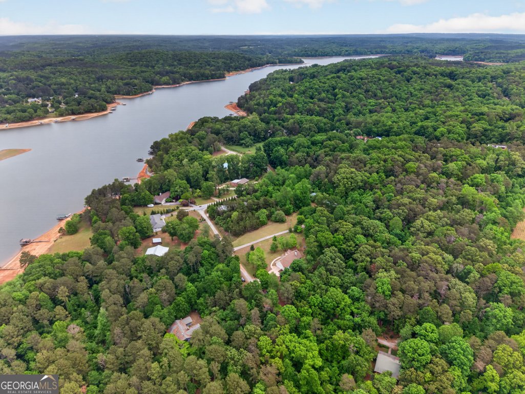 1207 Lakeland Drive Toccoa - Photo 53