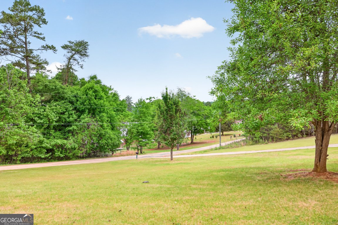 1207 Lakeland Drive Toccoa - Photo 56