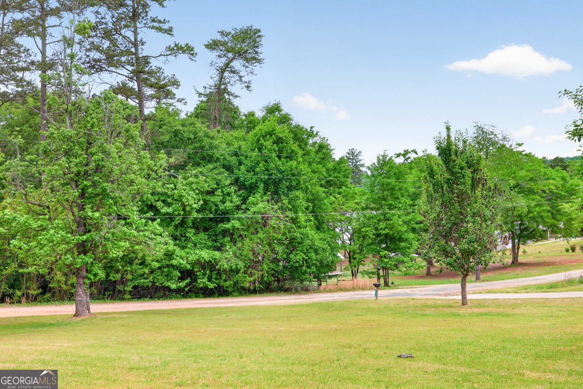 1207 Lakeland Drive Toccoa - Photo 57