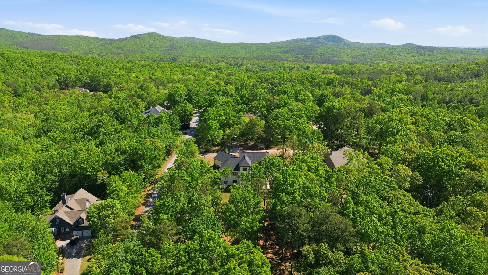 110 Fall Pippin Court Clarkesville - Photo 59