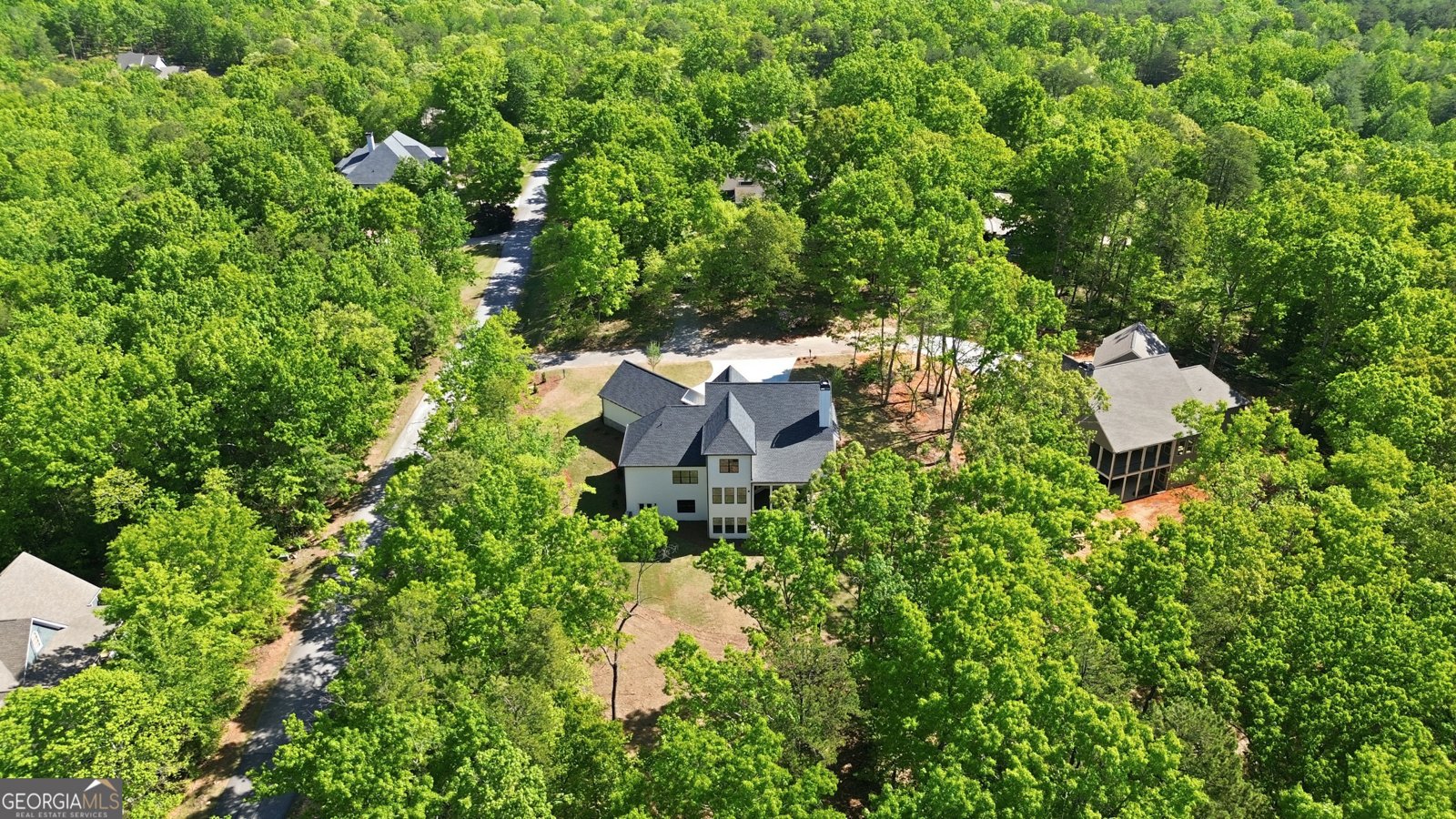 110 Fall Pippin Court Clarkesville - Photo 60