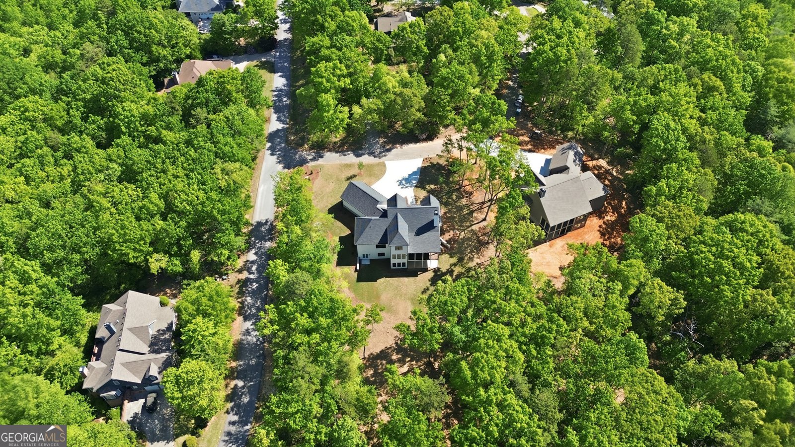 110 Fall Pippin Court Clarkesville - Photo 62