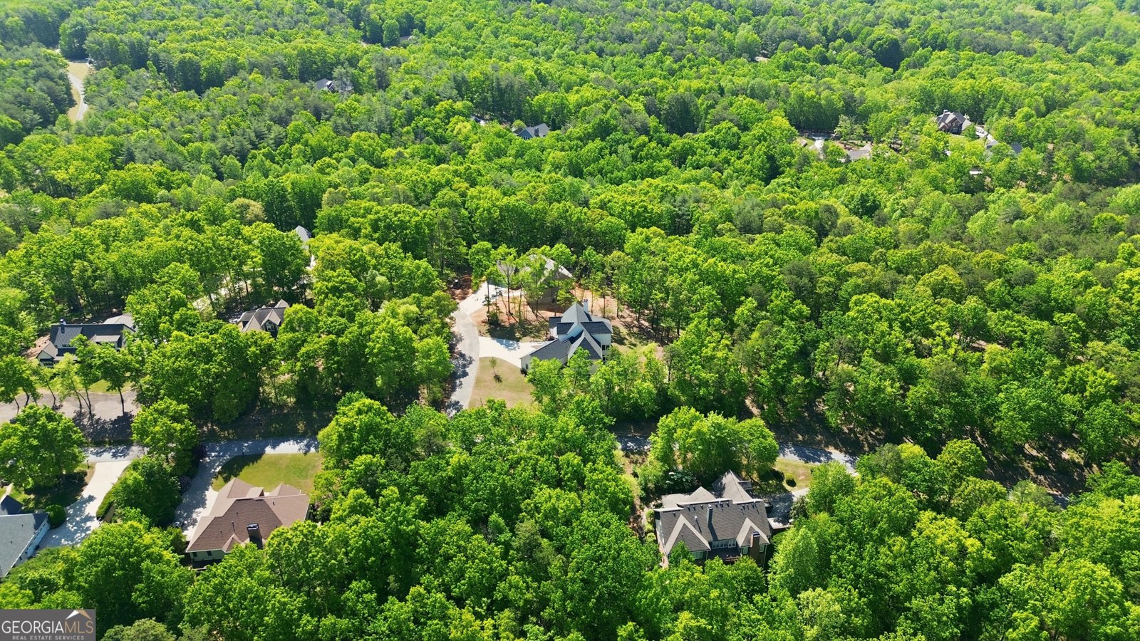 110 Fall Pippin Court Clarkesville - Photo 68