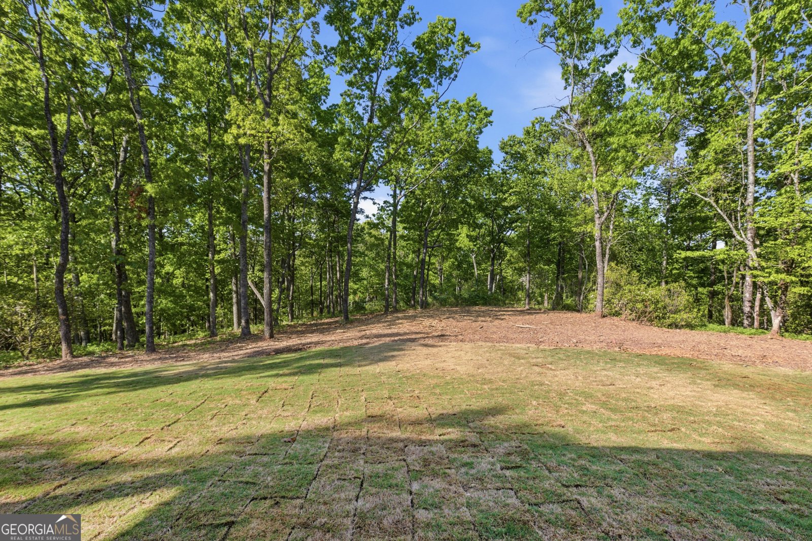 110 Fall Pippin Court Clarkesville - Photo 70