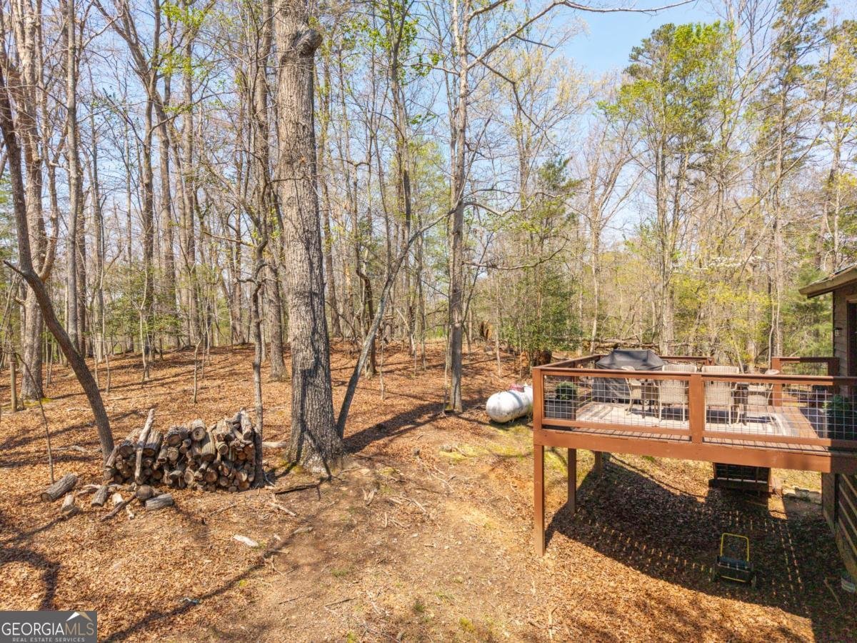 33 Foxhound Drive Ellijay - Photo 35