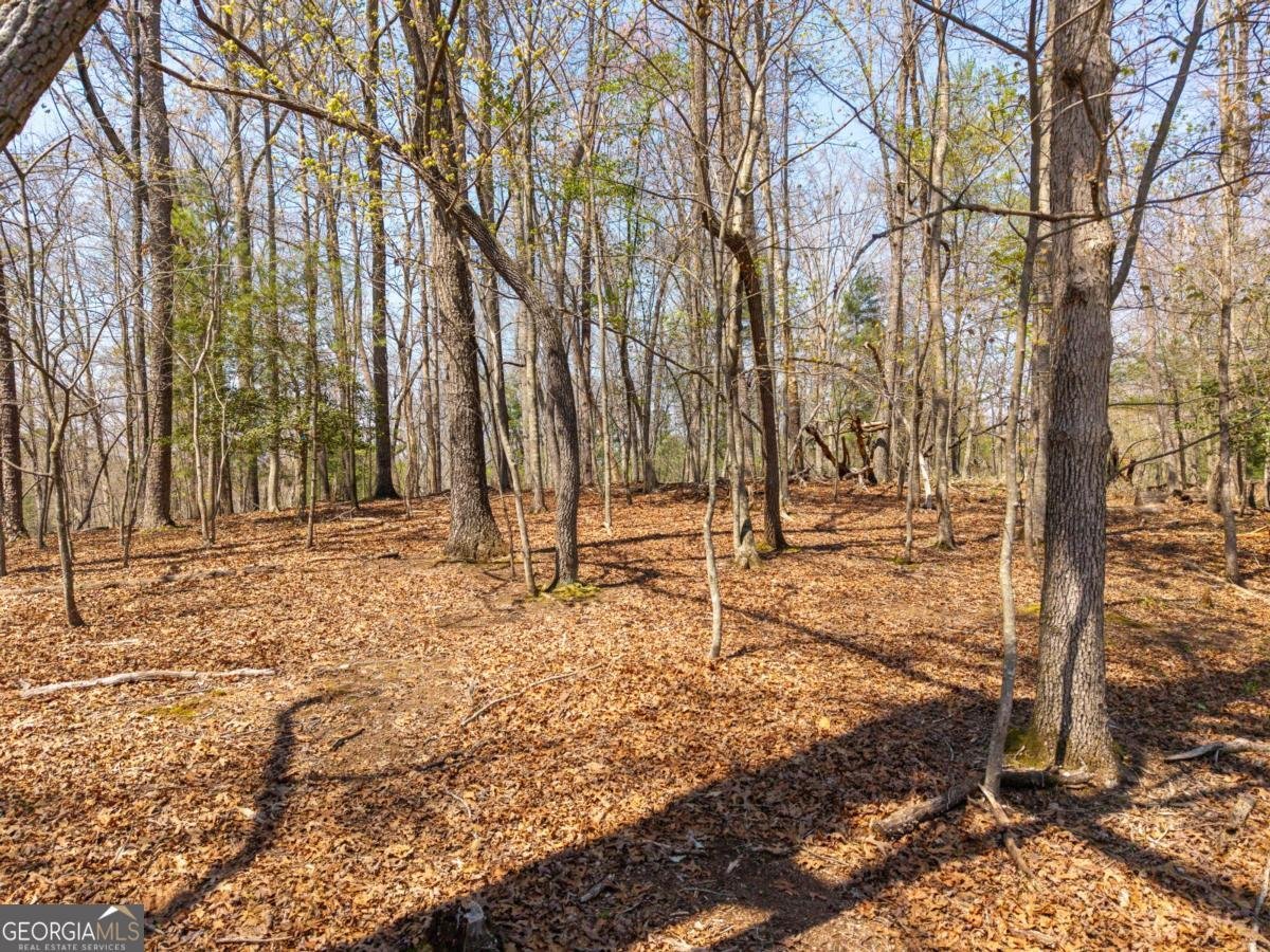 33 Foxhound Drive Ellijay - Photo 40