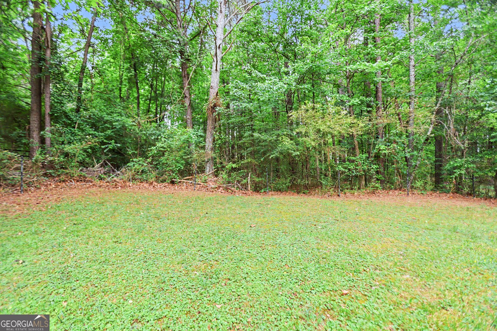 2365 Holly Branch Drive Cumming - Photo 31