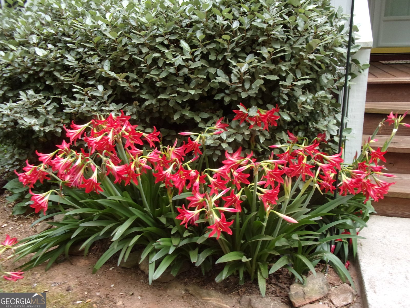 830 Lord Fleming Road Comer - Photo 20