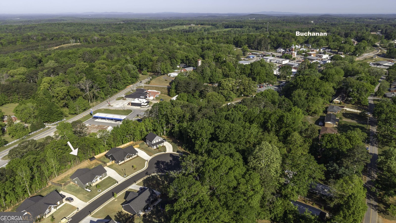 153 Addie Jane Lane Buchanan - Photo 10