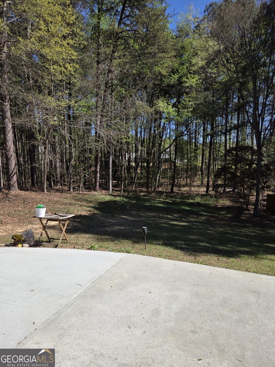 2575 Hamilton Parc Lane Buford - Photo 10