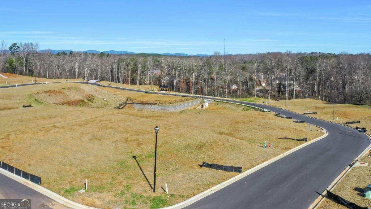 141 Cedar Crest Lane Dawsonville - Photo 54