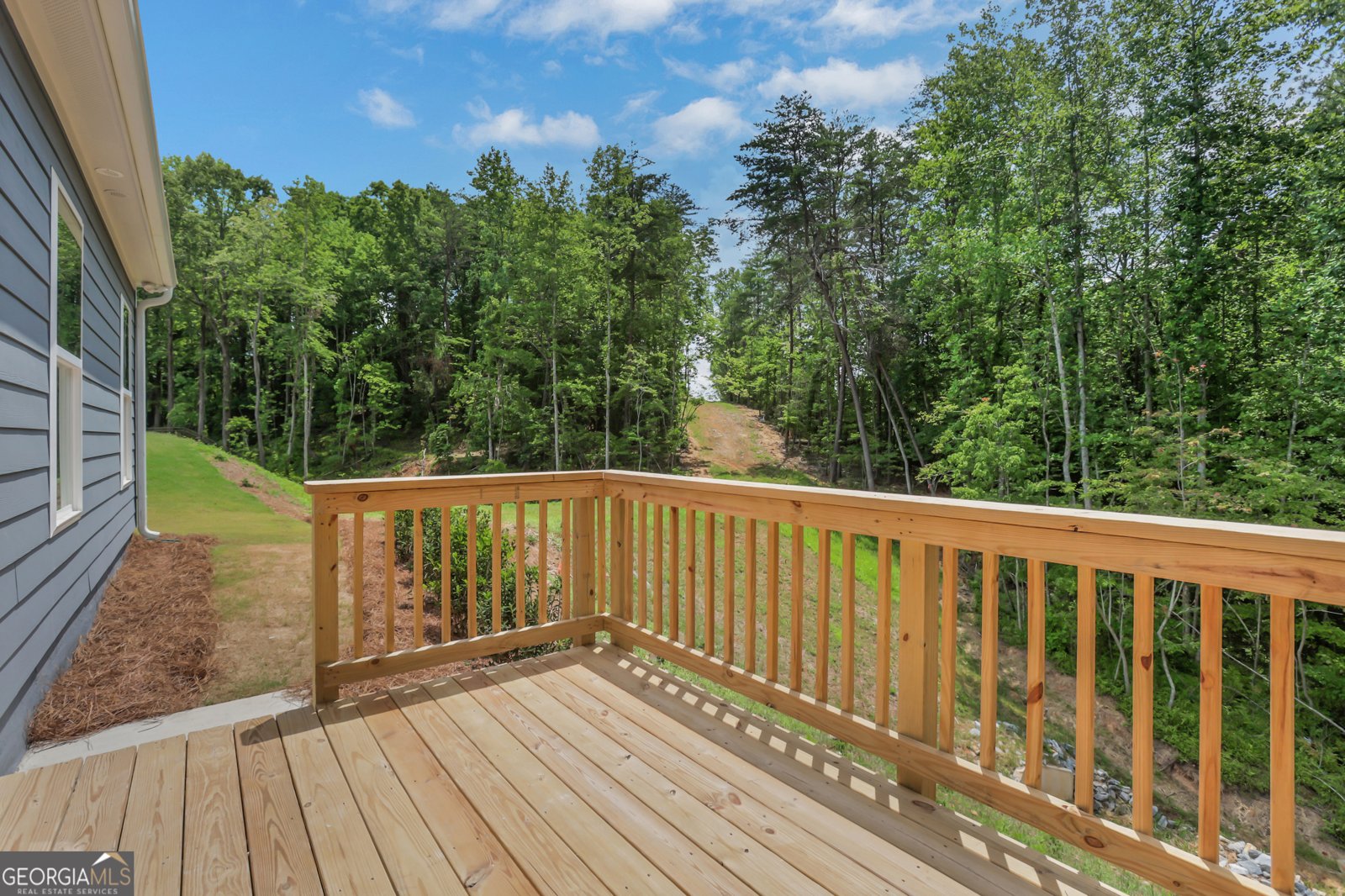 141 Cedar Crest Lane Dawsonville - Photo 58