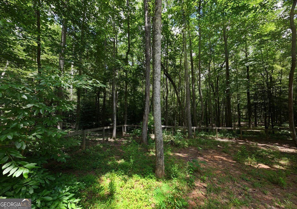 550 Watson Road Epworth - Photo 44