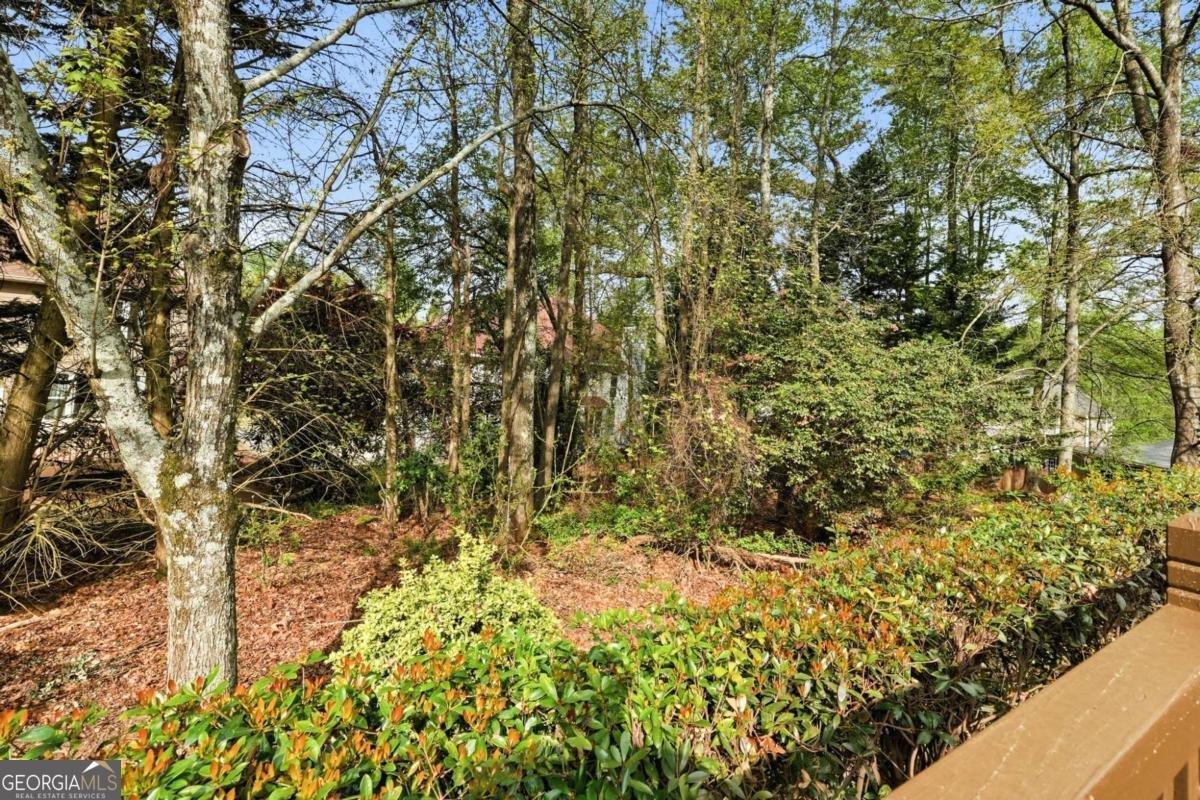 3875 Montvale Crossing Cumming - Photo 46