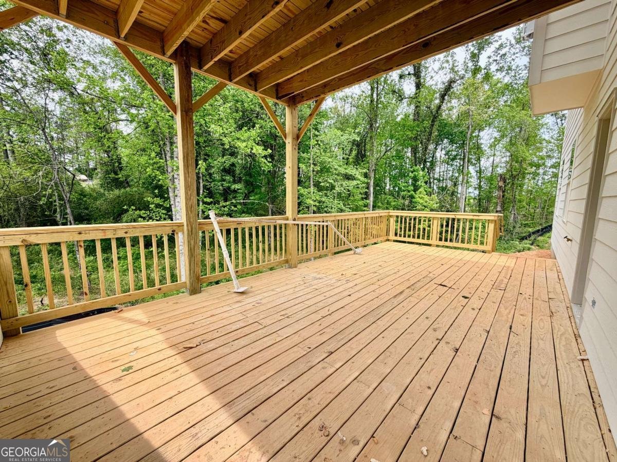 45 Cedar Crest Lane Dawsonville - Photo 29