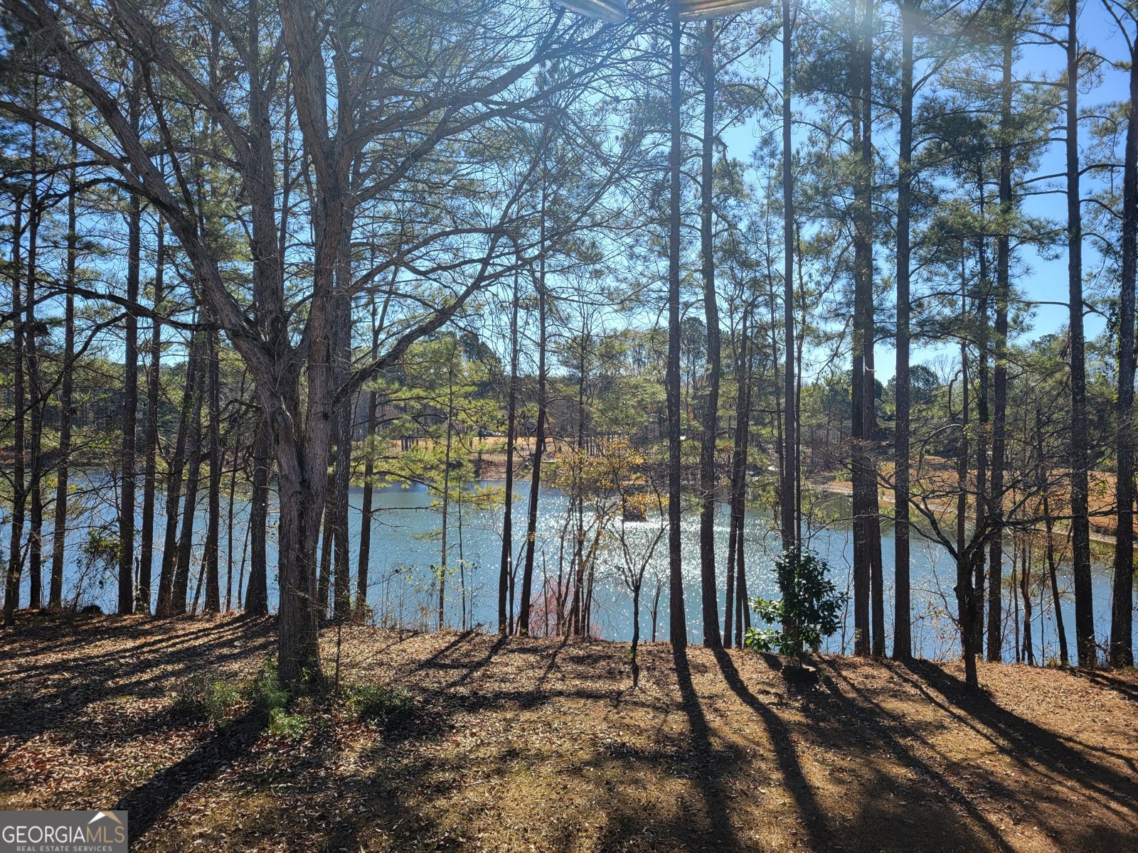190 Baywatch Circle Fayetteville - Photo 31