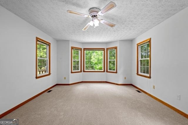 290 Kari Glen Drive Fayetteville - Photo 24