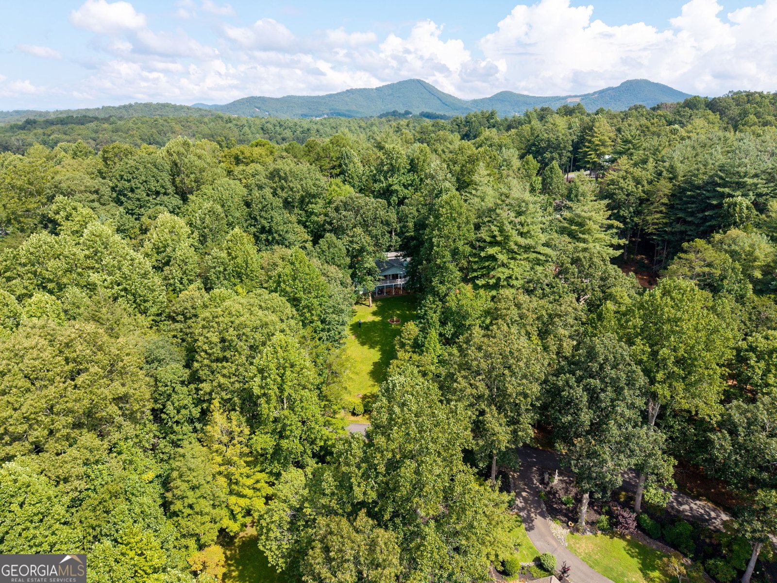 5147 summerwood Lane Young Harris - Photo 45