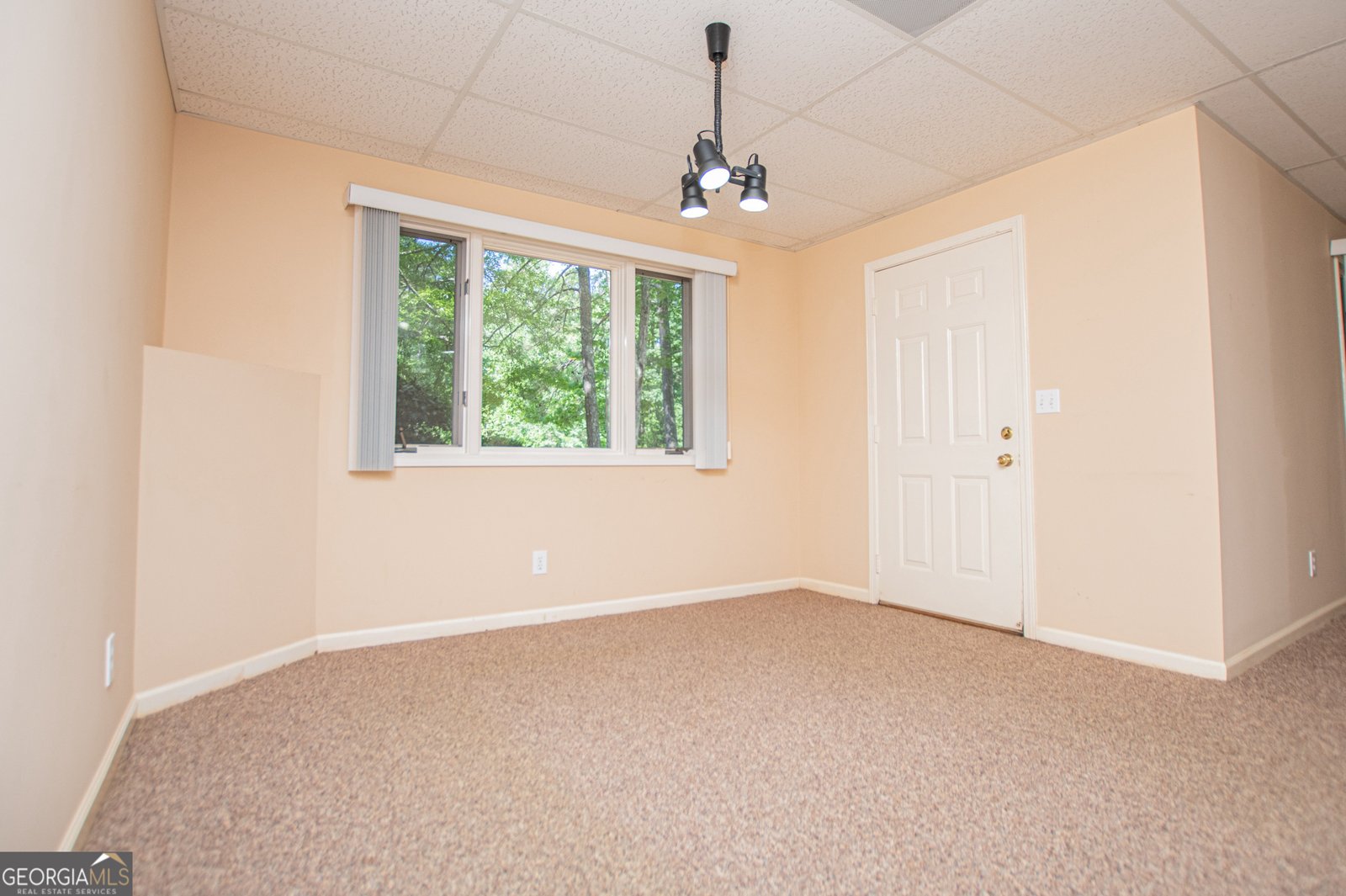 7378 Mitchell Court Villa Rica - Photo 56