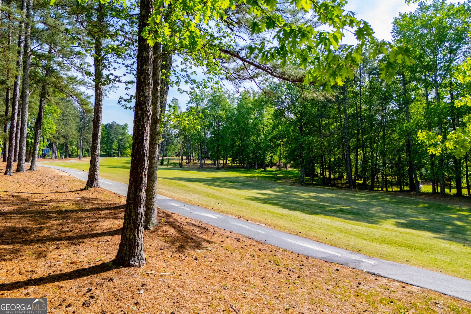 7378 Mitchell Court Villa Rica - Photo 89