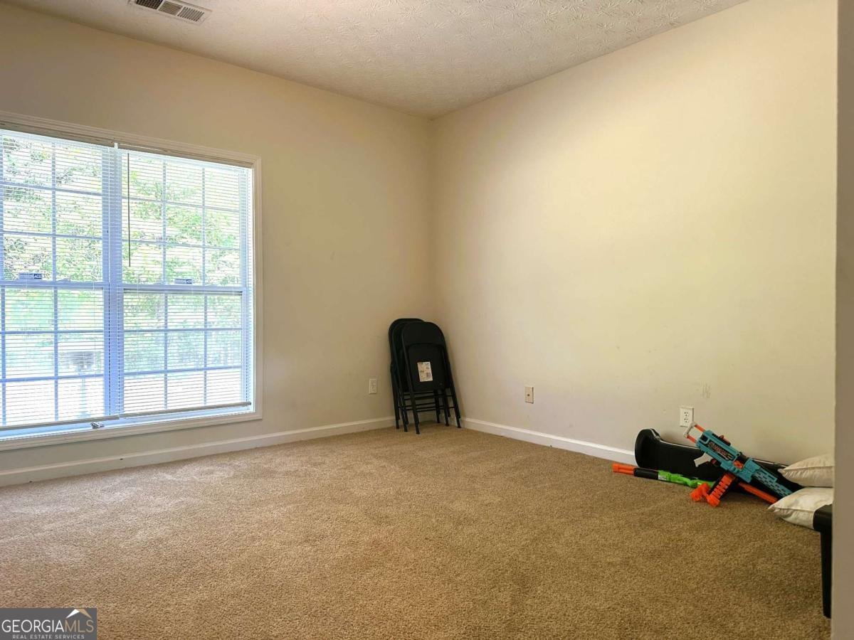 217 Bowden Lane Athens - Photo 19