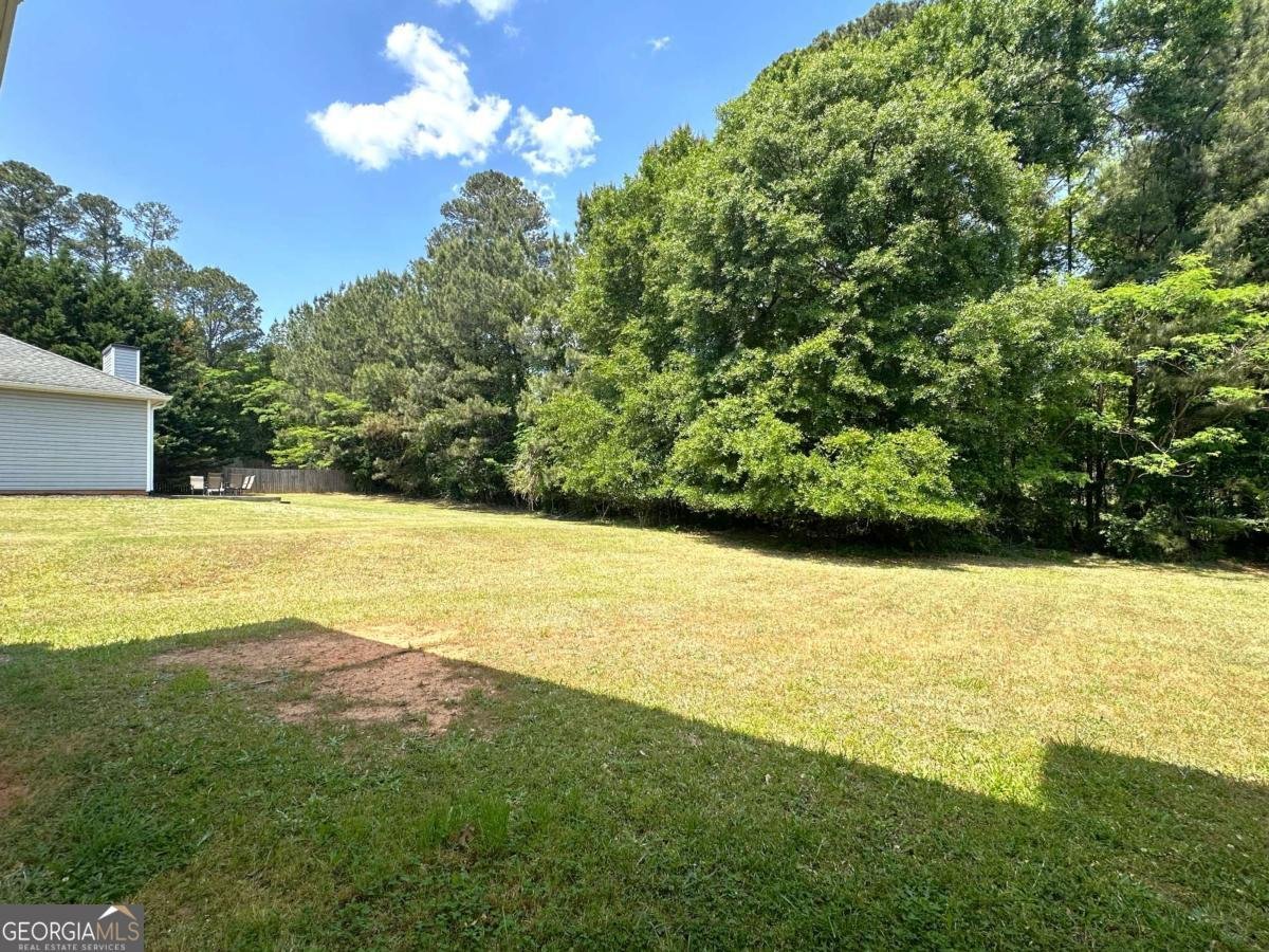 217 Bowden Lane Athens - Photo 21