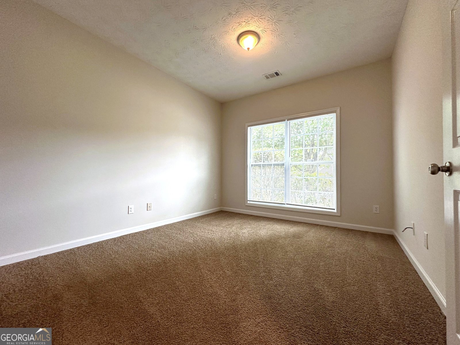 217 Bowden Lane Athens - Photo 34