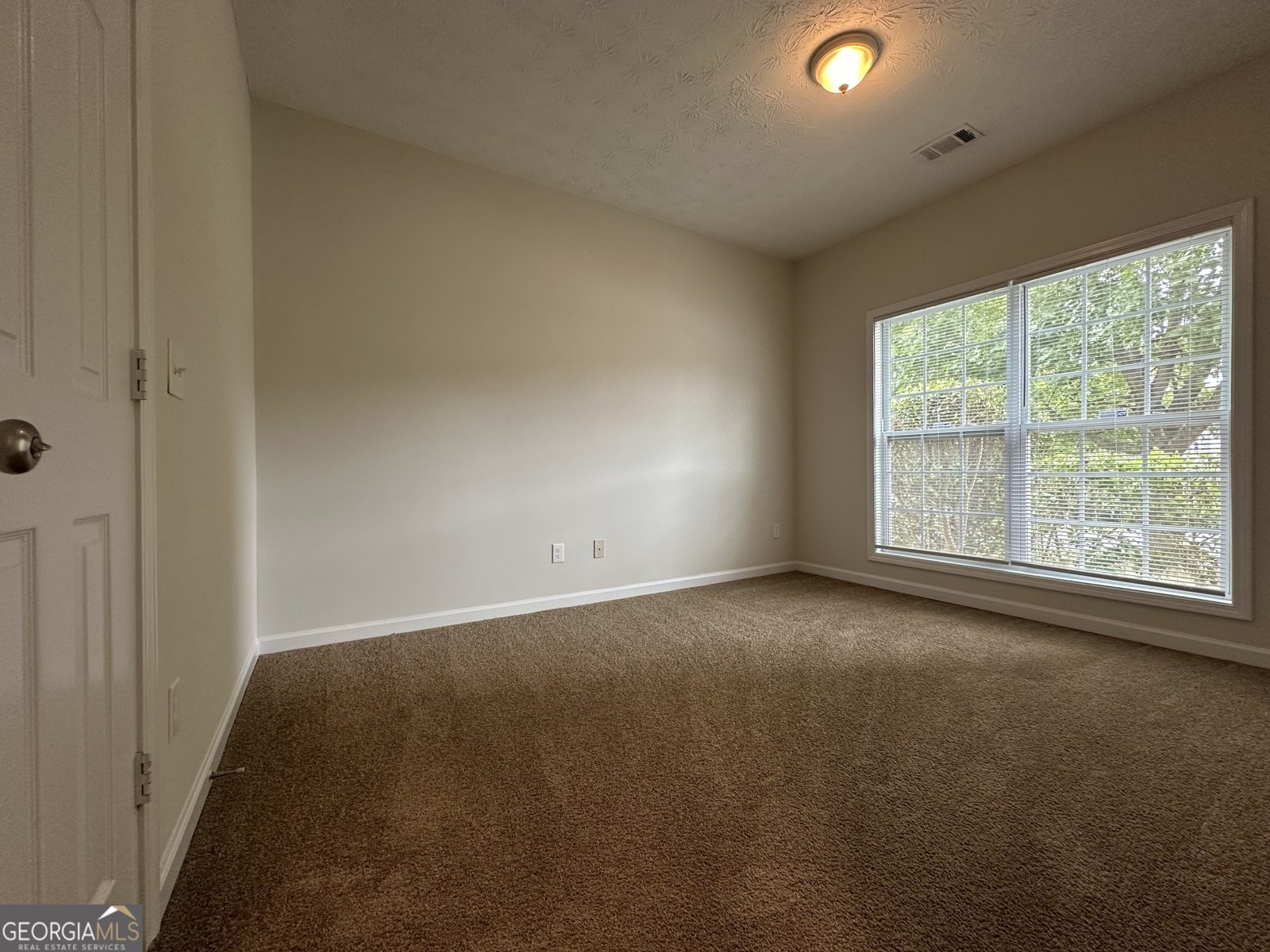 217 Bowden Lane Athens - Photo 35