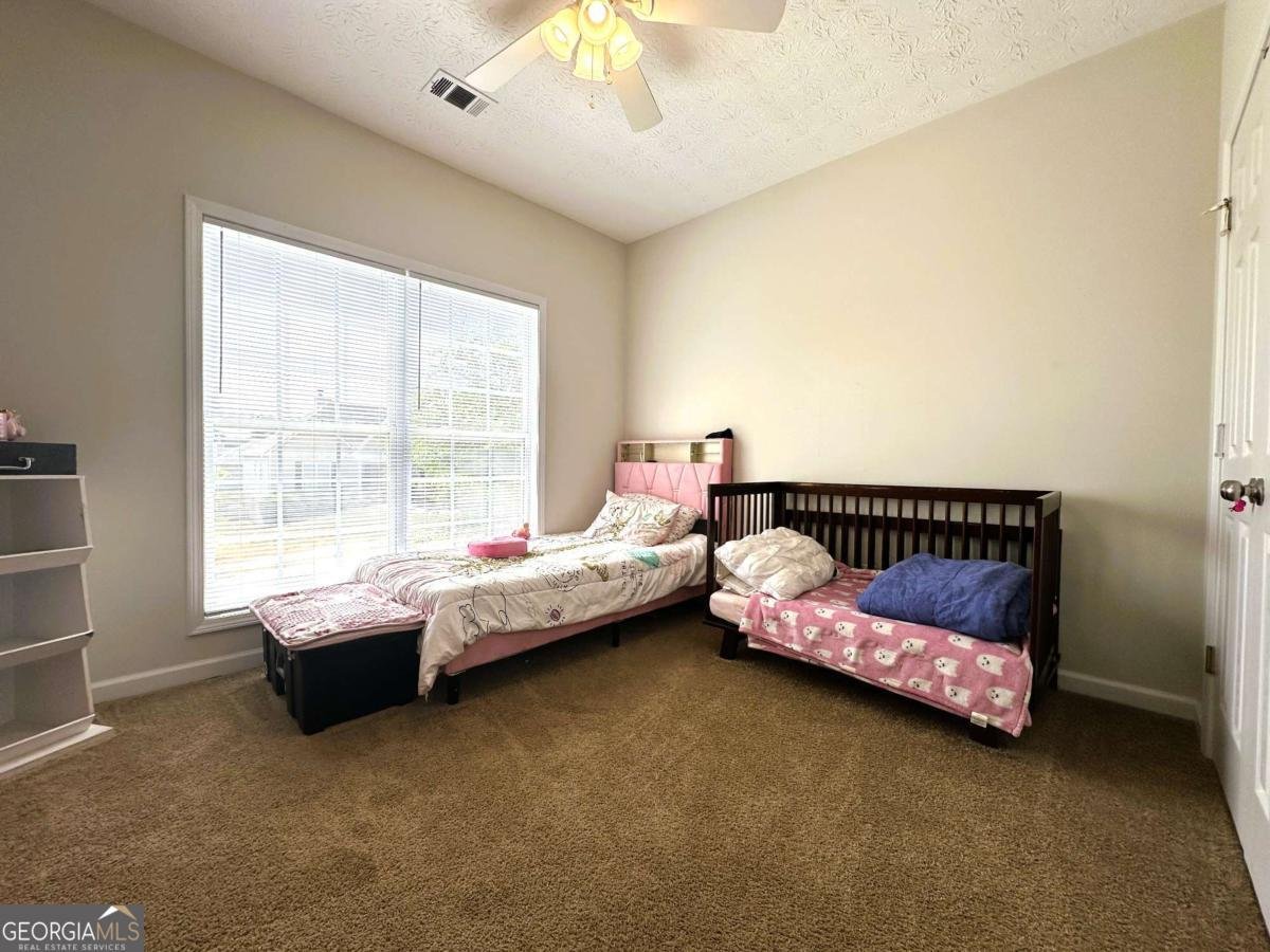 217 Bowden Lane Athens - Photo 9