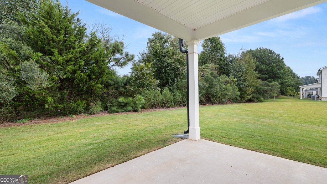 809 Pelham Locust Grove - Photo 19