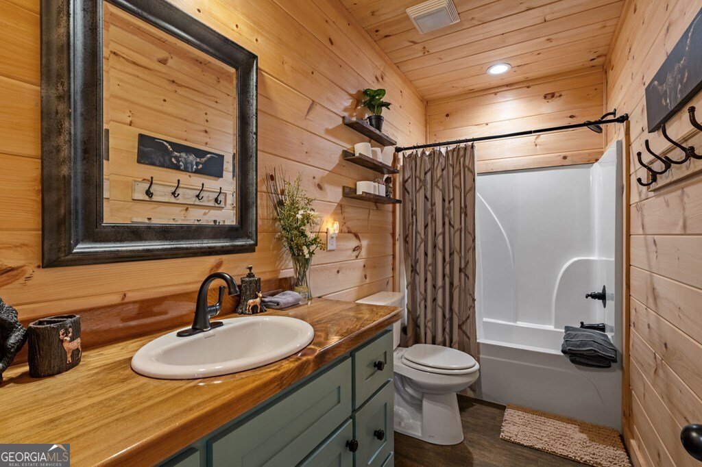 490 Walnut Hills Drive Mineral Bluff - Photo 17