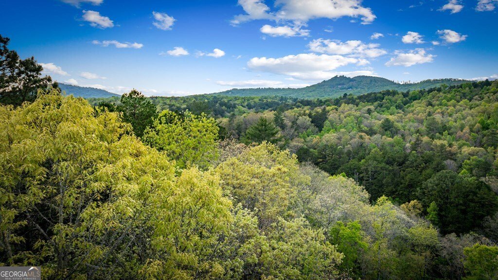 490 Walnut Hills Drive Mineral Bluff - Photo 38