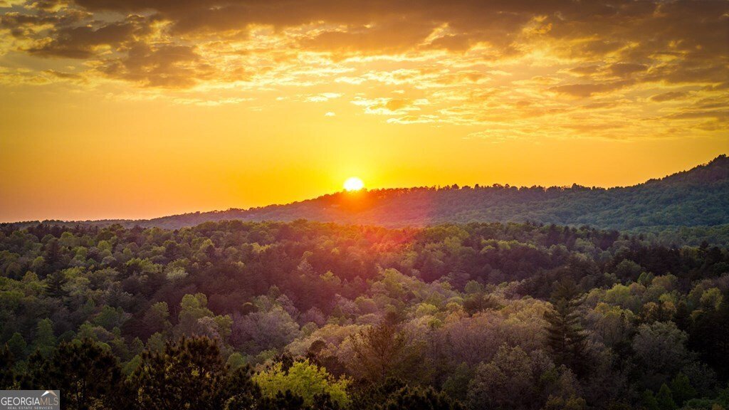 490 Walnut Hills Drive Mineral Bluff - Photo 43