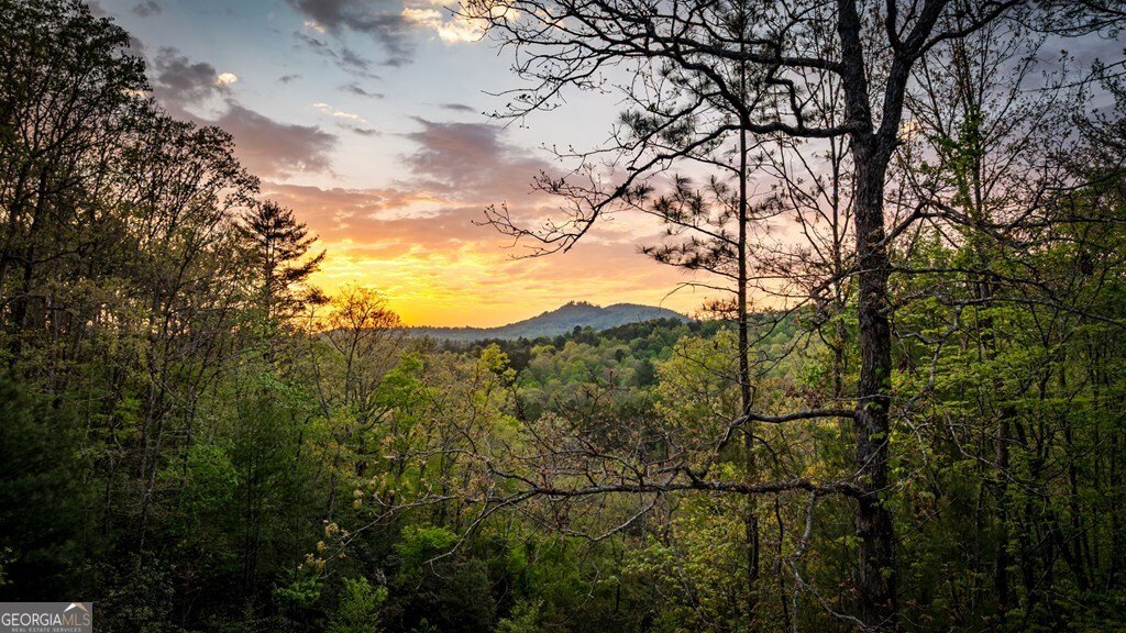 490 Walnut Hills Drive Mineral Bluff - Photo 44